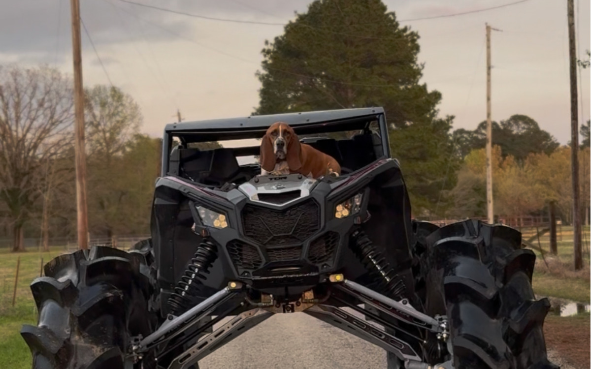 Limitless Off-Road: In Lucy We Trust